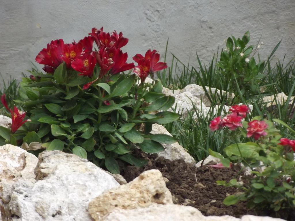 גליפאדה Adriatic View Villa חדר תמונה