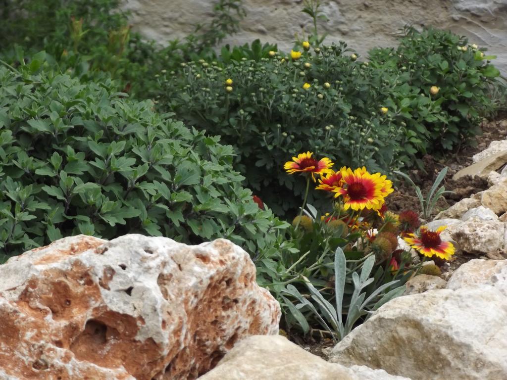 גליפאדה Adriatic View Villa חדר תמונה